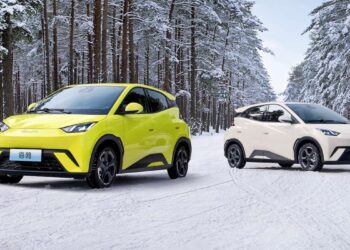 byd dolphin mini byd dolphin surf