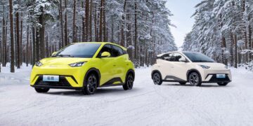 byd dolphin mini byd dolphin surf