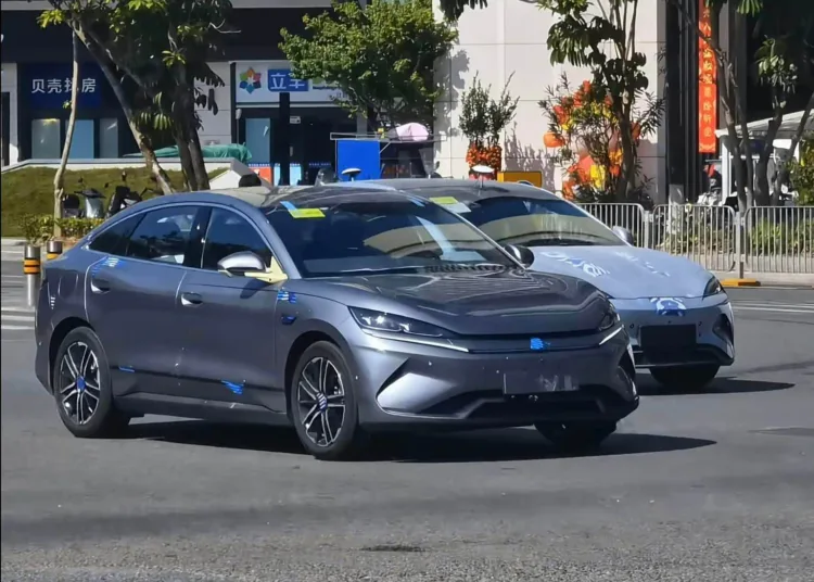 byd qin l ev