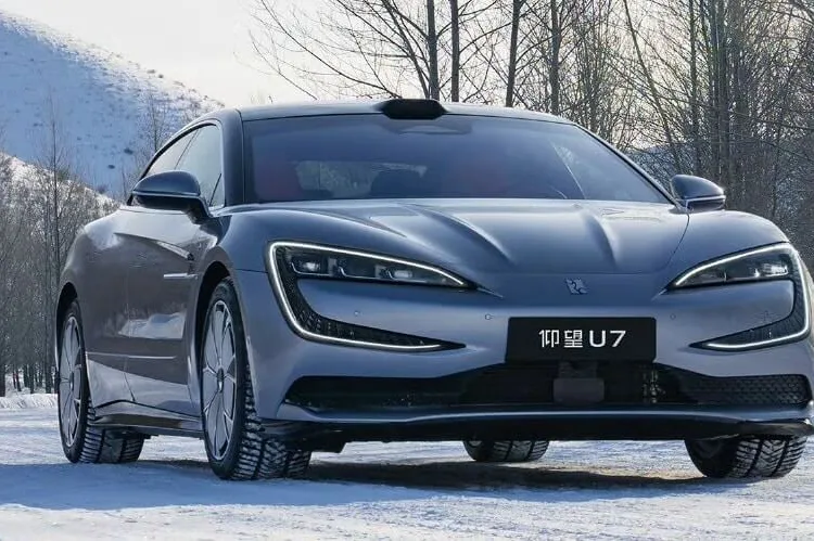byd yangwang u7