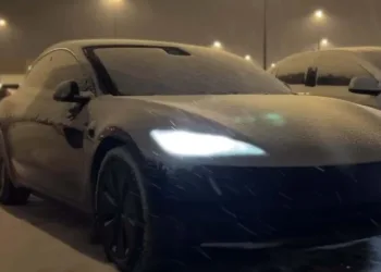 tesla model 3 mroz kanada