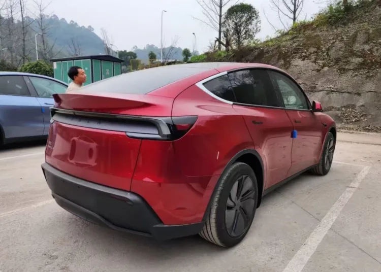 tesla model y juniper real