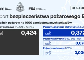 pozary ev 2024 raport