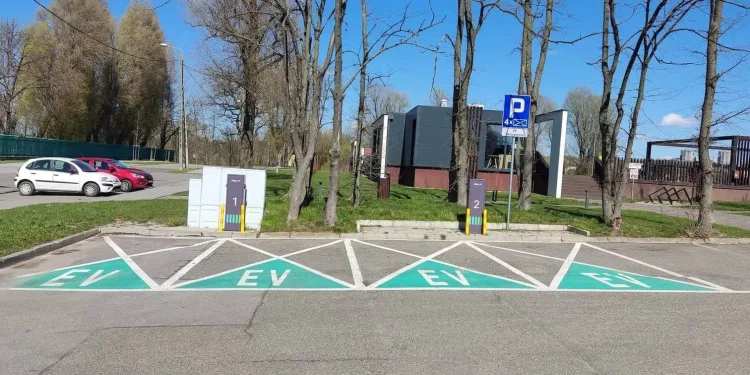 eleport oferty