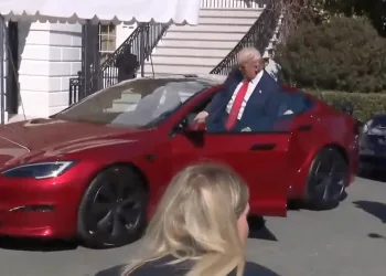 trump tesla elon musk bialy dom