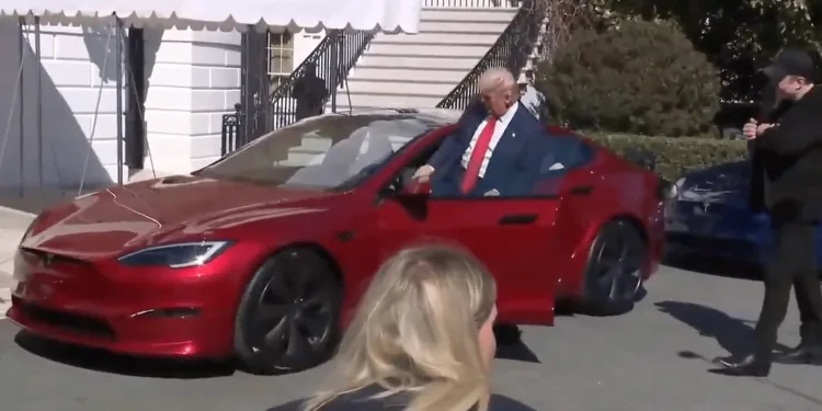 trump tesla elon musk bialy dom