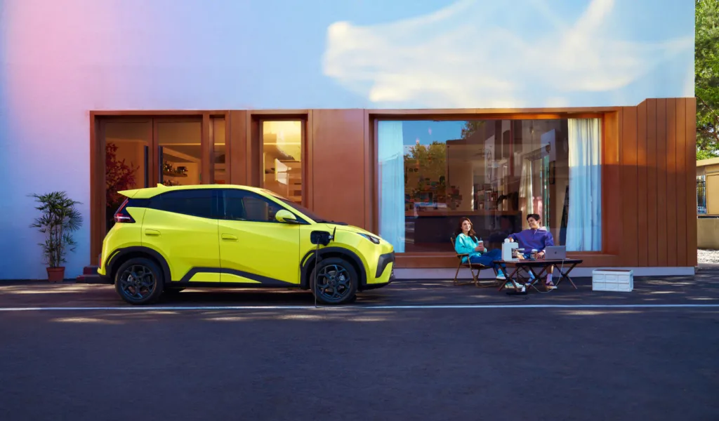 byd dolphin surf