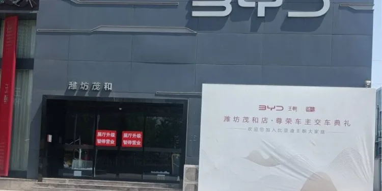 dealer byd upadl chiny