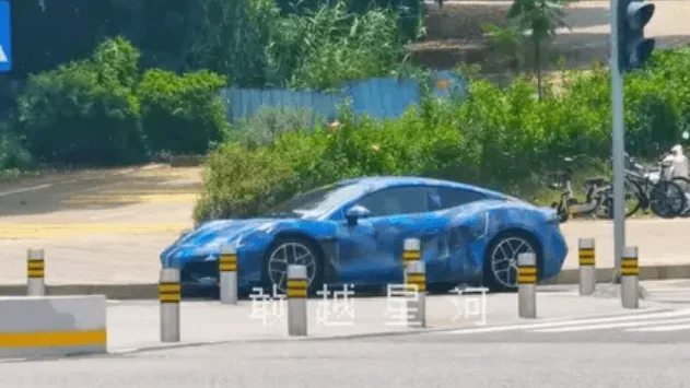 denza z