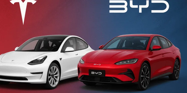 byd vs tesla wyniki 10.2025