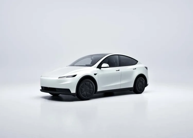 tesla model y standard