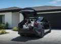 tesla model y standard