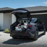 tesla model y standard