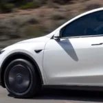 tesla model y standard