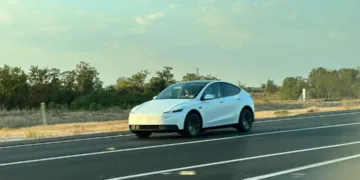 tania tesla model y standard reddit