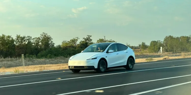 tania tesla model y standard reddit