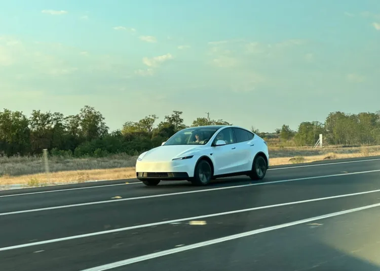 tania tesla model y standard reddit
