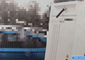 złapano zlodzieja kabli lubin