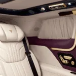 Voyah Dream Shanhe wnętrze