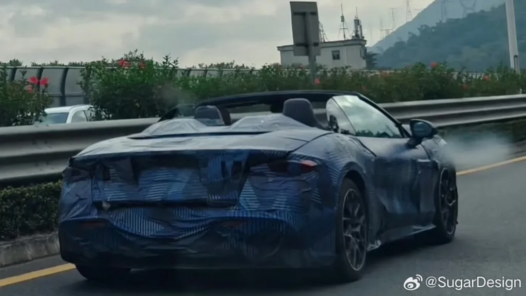 denza z szpiegowskie zdjecie