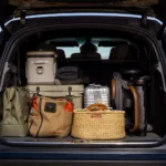 lucid gravity touring wnętrze