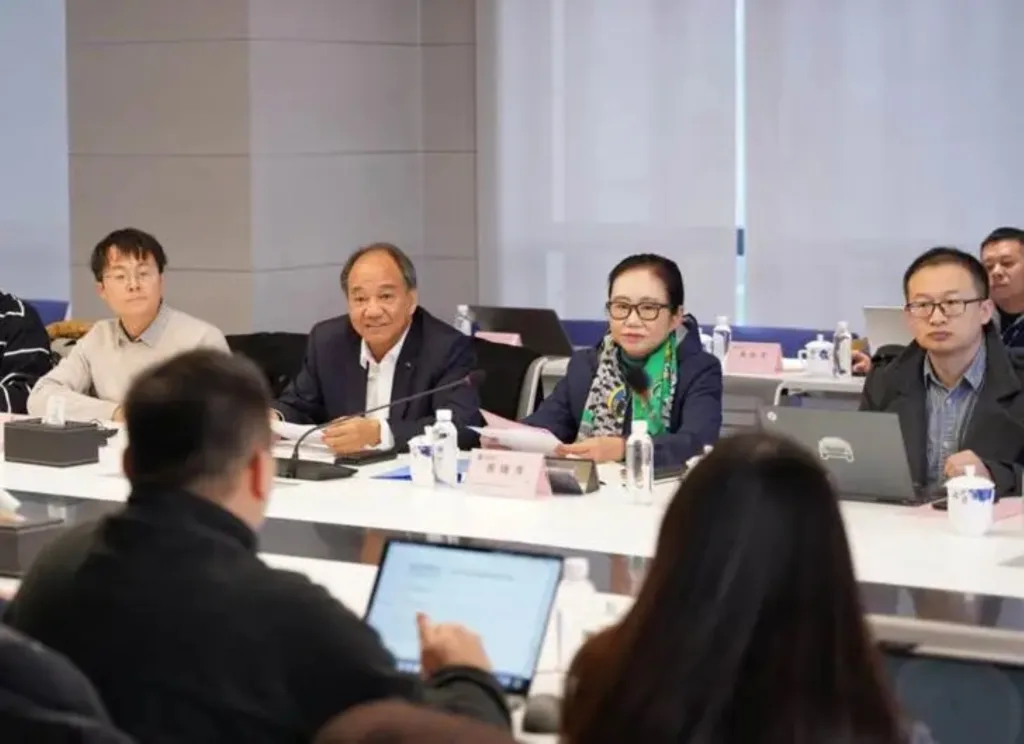 lampy elektryki koalicja chinska