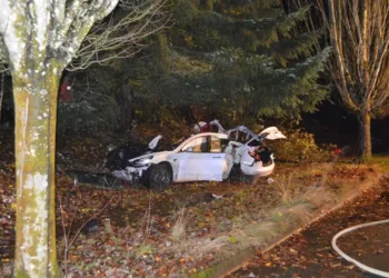 Kiedy prąd znika, Tesla staje się pułapką. Bloomberg wiąże awarie klamek z serią tragicznych wypadków