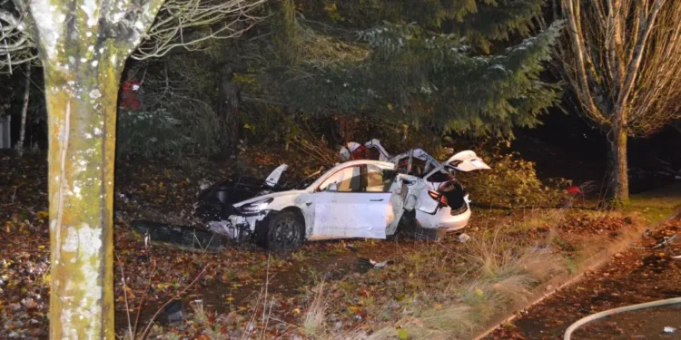 Kiedy prąd znika, Tesla staje się pułapką. Bloomberg wiąże awarie klamek z serią tragicznych wypadków