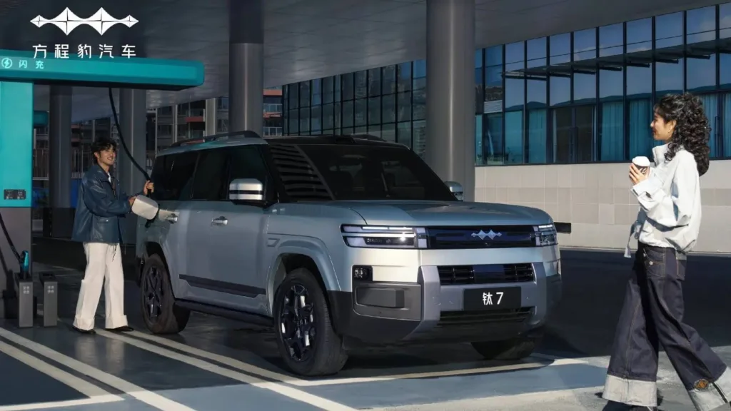 Byd Fang Cheng Bao Ti7 04