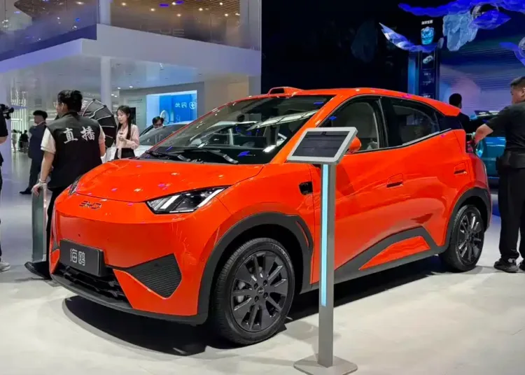 Byd Seagull 2026 Dolphin Surf Premiera 01