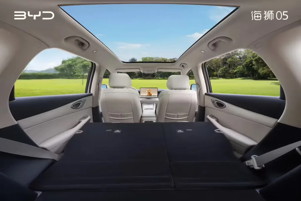 Byd Sealion 05 Złożone Siedzenia