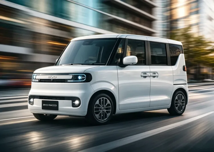 Byd Racco