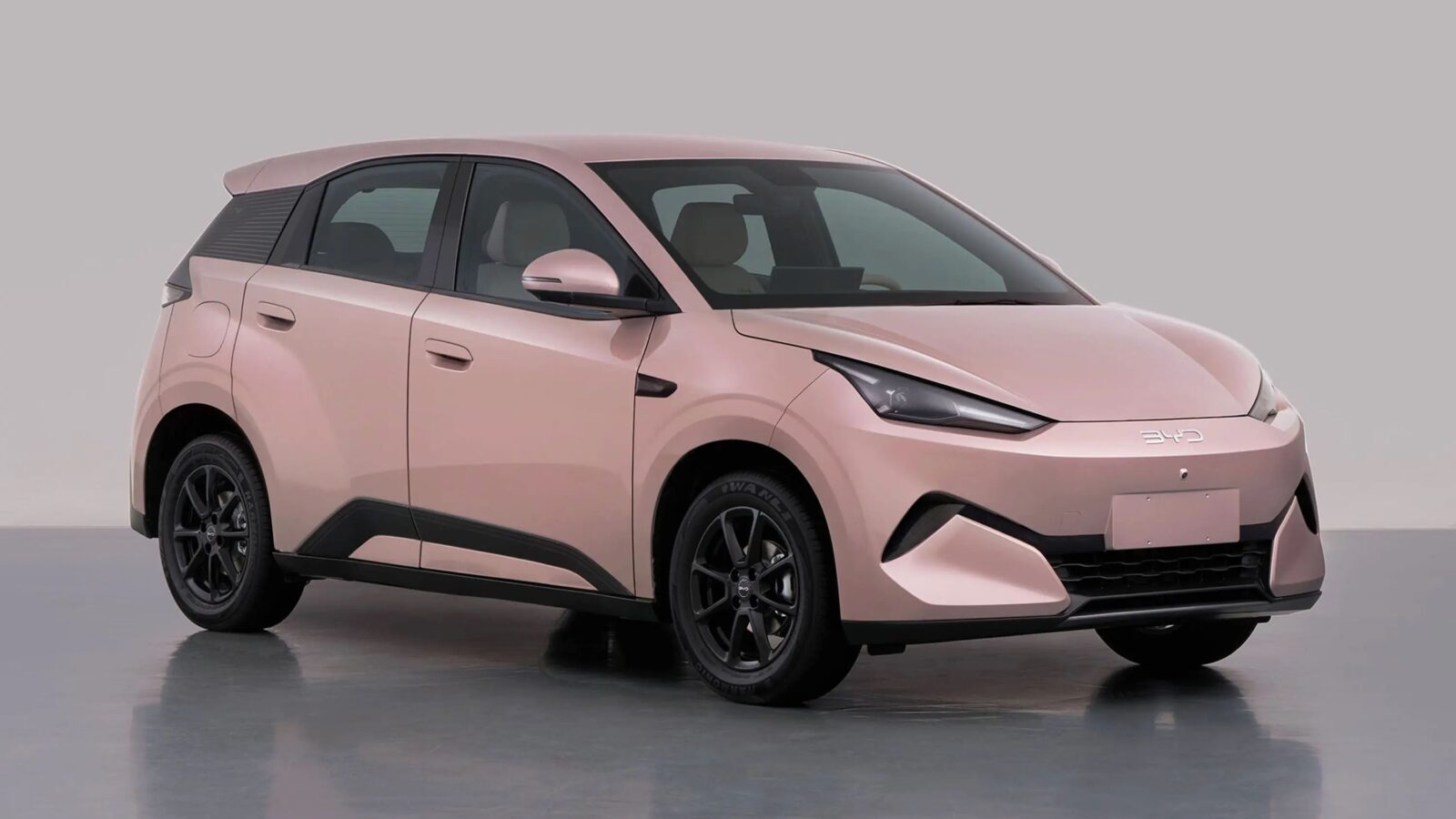 Nowy Byd Seagull 02