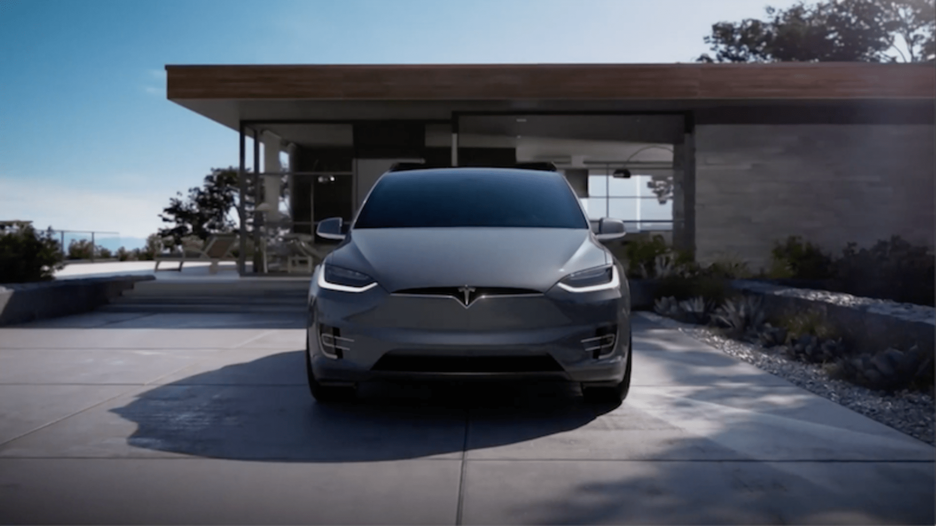 Model X Performance Raven